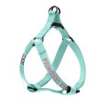 Personalized Teal Dog Harness with ID Tag