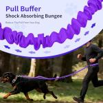 Kazazoo Adjustable Hands-Free Dog Leash - Purple