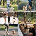 Hands-Free Dog Leash with Adjustable Lengths