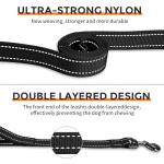 Kazazoo Adjustable Hands-Free Dog Leash for Training