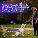 Kazazoo Adjustable Hands-Free Dog Leash - Purple