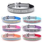 Personalized Reflective Dog Collar with Embroidered Name