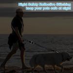 Philorn Hands-Free Dog Leash and Waist Belt