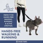 Shock Absorbing Handsfree Dog Leash Set - Black