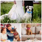 Red Christmas Bow Tie Dog Collar and Leash Set