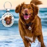 Personalized QR Code Pet ID Tag for Dogs & Cats