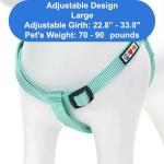 Personalized Teal Dog Harness with ID Tag