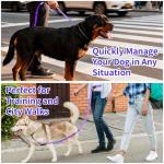 Kazazoo Adjustable Hands-Free Dog Leash - Purple