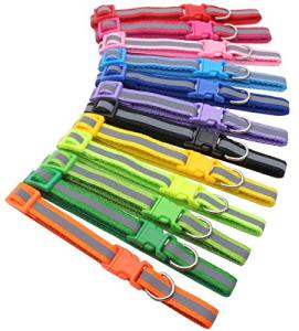 12 Pack Adjustable Nylon Puppy ID Collars
