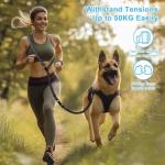 Philorn Hands-Free Dog Leash and Waist Belt