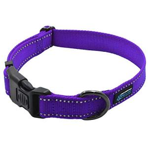 Max and Neo Reflective Dog Collar - Purple