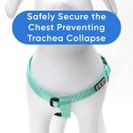 Personalized Teal Dog Harness with ID Tag