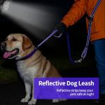 Kazazoo Adjustable Hands-Free Dog Leash - Purple
