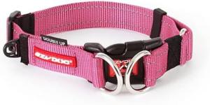 EzyDog Double Up Dog Collar with ID Attachment