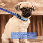 Hands-Free Leash and Collar for Small Dogs