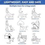 Hands-Free Dog Leash with Adjustable Lengths