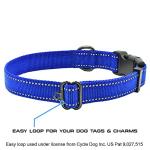 Max and Neo Reflective Dog Collar - Purple