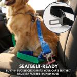 Shock Absorbing Handsfree Dog Leash Set - Black