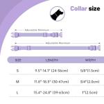 Waterproof Odor-Resistant Dog Collar for All Sizes