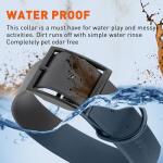 Waterproof Biothane Dog Collar with Black Hardware