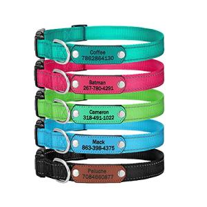 Personalized Reflective Engraved Dog Collars in 5 Colors