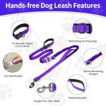 Kazazoo Adjustable Hands-Free Dog Leash - Purple