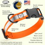 Reflective Waterproof Dog Collar in Fun Colors