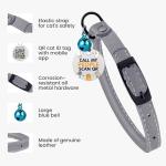 Bronzedog Rolled Leather Cat Collar with ID Tag