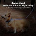 Hands-Free Leash and Collar for Small Dogs