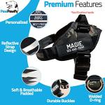 Personalized No Pull Dog Harness with Custom Patches