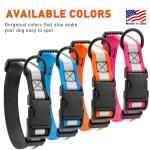 Reflective Waterproof Dog Collar in Fun Colors