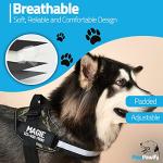 Personalized No Pull Dog Harness with Custom Patches