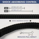 Shock Absorbing Handsfree Dog Leash Set - Black