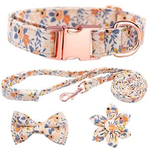 Floral Bow Tie Dog Collar and Leash Set