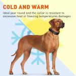 Waterproof Biothane Dog Collar with Black Hardware