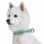 Blueberry Pet Reflective Dog Collar with D-Rings