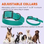 Waterproof Biothane Dog Collar in Aqua