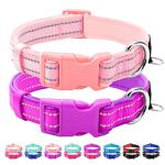 Reflective Neoprene Dog Collars with ID Tags - 2 Pack