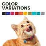 Bronzedog Rolled Leather Cat Collar with ID Tag