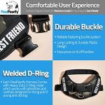 Personalized No Pull Dog Harness with Custom Patches