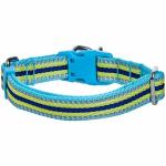 Blueberry Pet Reflective Dog Collar with D-Rings