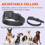 Waterproof Biothane Dog Collar with Black Hardware