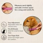 Personalized Engraved Vegan Leather Dog Collar