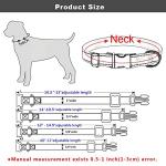 Personalized Reflective Engraved Dog Collars in 5 Colors