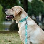Floral Dog Collar and Leash Set with Reflective Strips