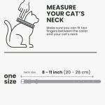 Bronzedog Rolled Leather Cat Collar with ID Tag