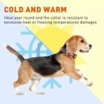 Reflective Waterproof Dog Collar in Fun Colors