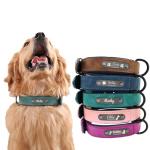Custom Engraved Dog Collars with Name & Number