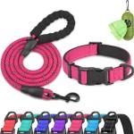 Reflective Dog Collar and Leash Set - Hot Pink