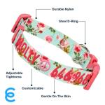 Personalized Turquoise Martingale Dog Collar for Safety